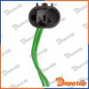 Gicleur de lave-glace pour RANGE ROVER | EDS-LR-018, LR050779